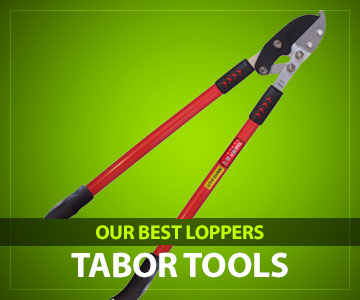 Best Loppers